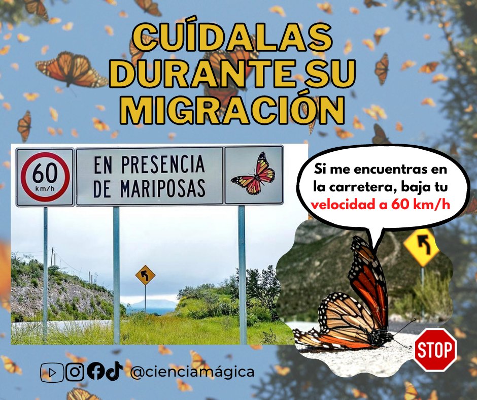 Precaución Mariposa Monarca