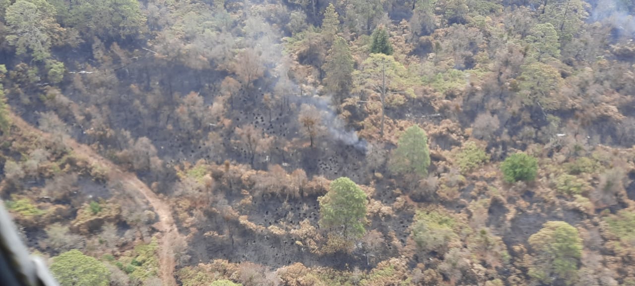 Incendio Forestal Tepozteco