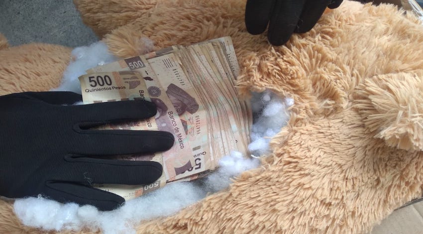 Oso de Peluche con dinero