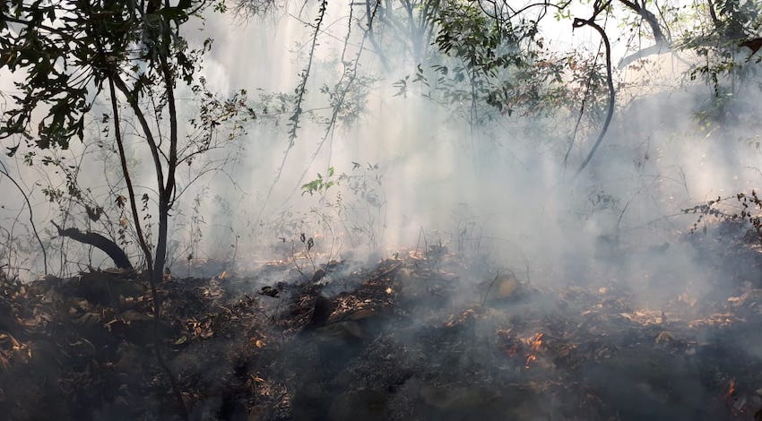 Incendio forestal Tepoztlán, Morelos 