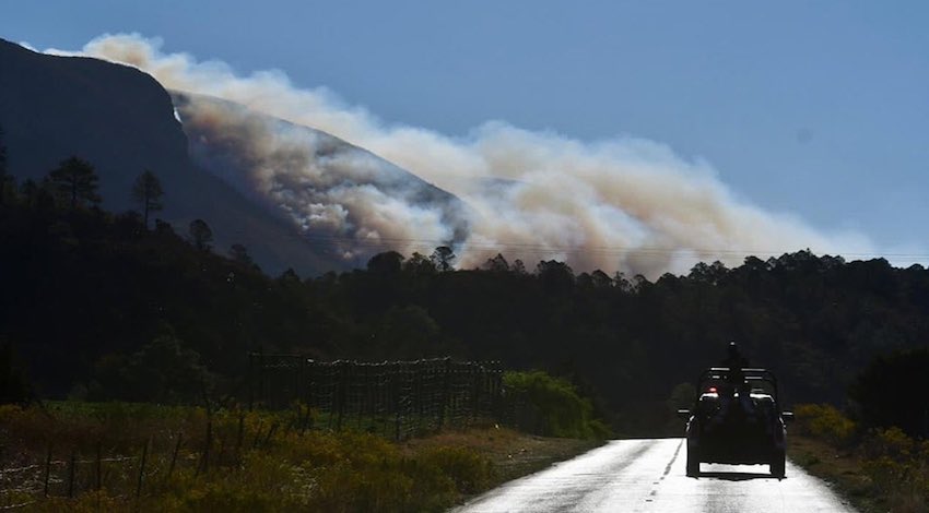 Incendio forestal Arteaga, Coahuila